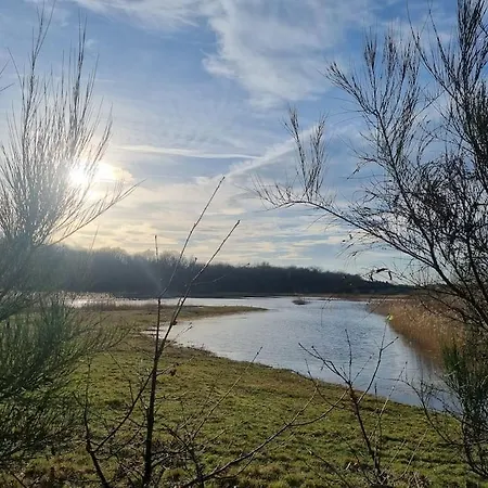 別荘 Luxe-avontuur In Romantische In Het Bos Stekene