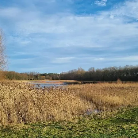 Luxe-avontuur In Romantische In Het Bos * Stekene